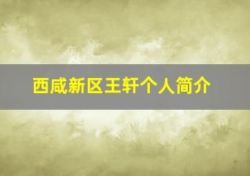 西咸新区王轩个人简介