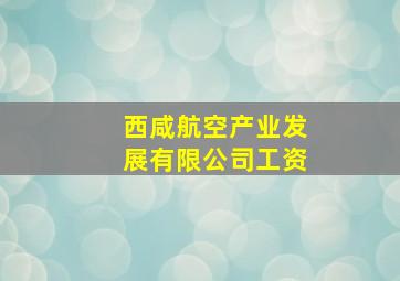 西咸航空产业发展有限公司工资