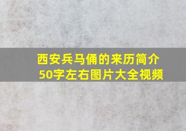 西安兵马俑的来历简介50字左右图片大全视频