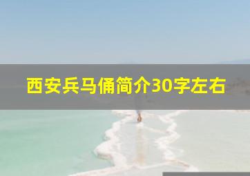 西安兵马俑简介30字左右