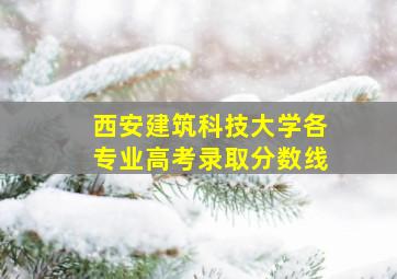 西安建筑科技大学各专业高考录取分数线