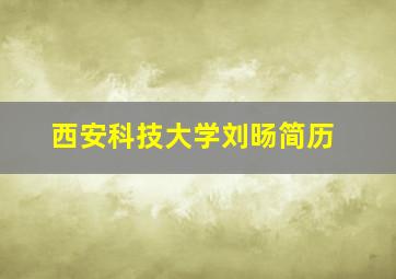 西安科技大学刘旸简历