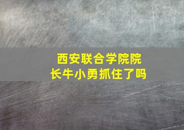 西安联合学院院长牛小勇抓住了吗