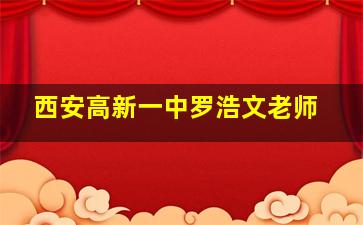 西安高新一中罗浩文老师