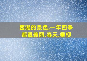 西湖的景色,一年四季都很美丽,春天,垂柳