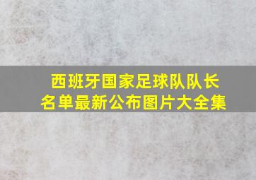 西班牙国家足球队队长名单最新公布图片大全集