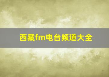 西藏fm电台频道大全