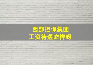 西部担保集团工资待遇咋样呀