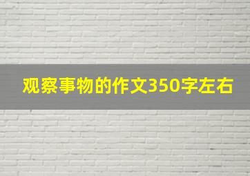 观察事物的作文350字左右