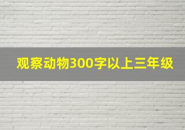 观察动物300字以上三年级