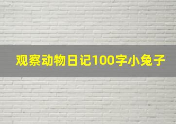 观察动物日记100字小兔子