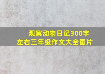 观察动物日记300字左右三年级作文大全图片