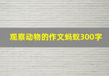 观察动物的作文蚂蚁300字