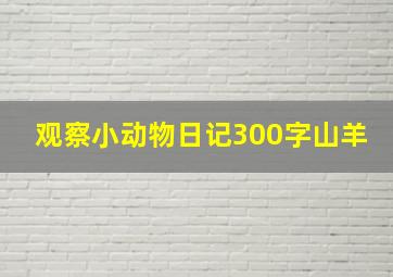 观察小动物日记300字山羊