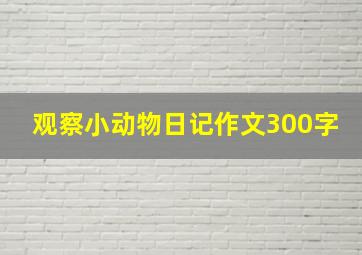 观察小动物日记作文300字