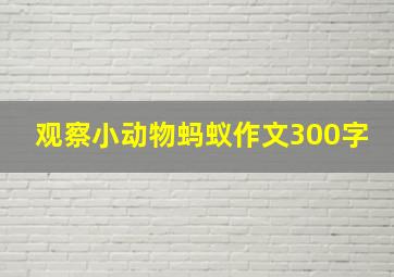 观察小动物蚂蚁作文300字