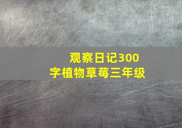 观察日记300字植物草莓三年级