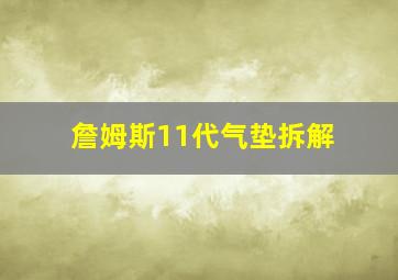 詹姆斯11代气垫拆解