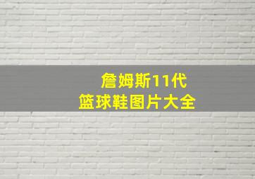 詹姆斯11代篮球鞋图片大全