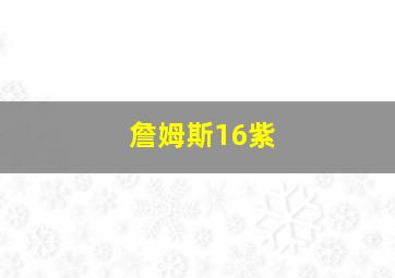 詹姆斯16紫