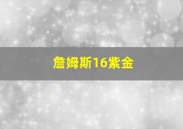 詹姆斯16紫金