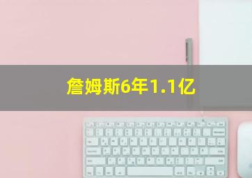 詹姆斯6年1.1亿