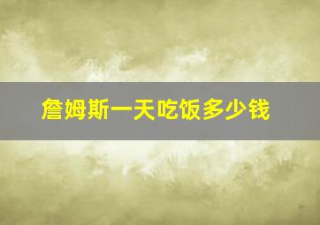 詹姆斯一天吃饭多少钱