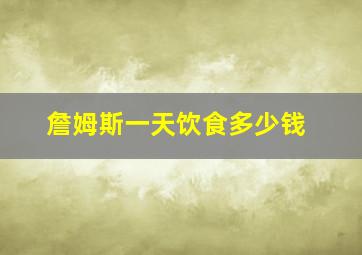 詹姆斯一天饮食多少钱