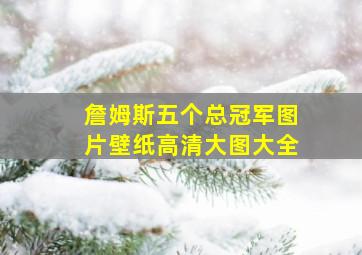 詹姆斯五个总冠军图片壁纸高清大图大全