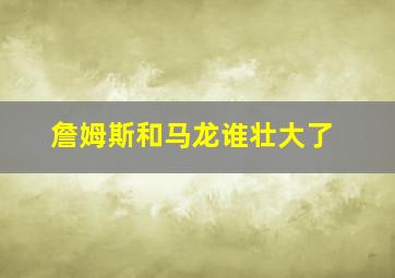 詹姆斯和马龙谁壮大了