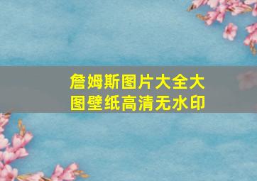 詹姆斯图片大全大图壁纸高清无水印