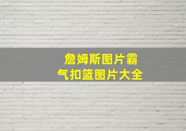 詹姆斯图片霸气扣篮图片大全