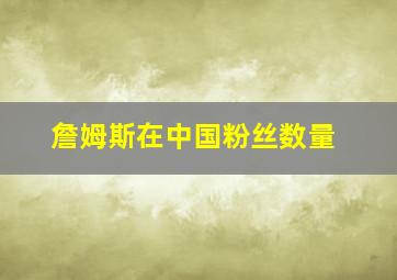 詹姆斯在中国粉丝数量