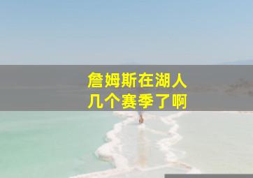 詹姆斯在湖人几个赛季了啊