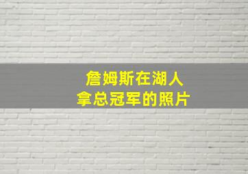 詹姆斯在湖人拿总冠军的照片