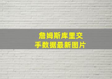 詹姆斯库里交手数据最新图片