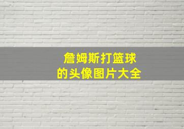 詹姆斯打篮球的头像图片大全