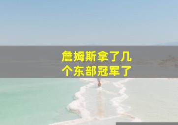 詹姆斯拿了几个东部冠军了