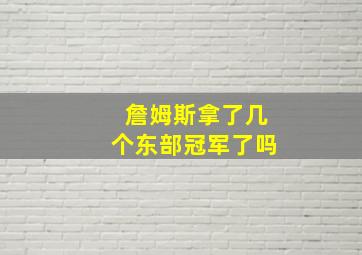 詹姆斯拿了几个东部冠军了吗