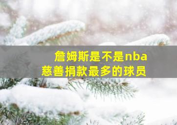 詹姆斯是不是nba慈善捐款最多的球员