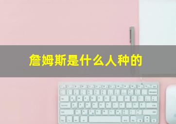 詹姆斯是什么人种的