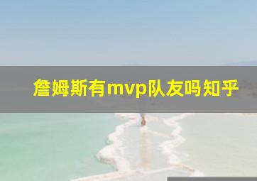 詹姆斯有mvp队友吗知乎