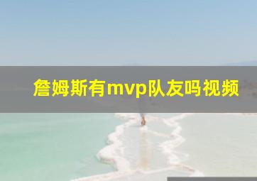 詹姆斯有mvp队友吗视频