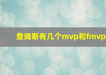 詹姆斯有几个mvp和fmvp