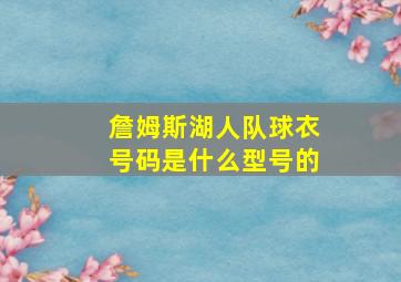 詹姆斯湖人队球衣号码是什么型号的