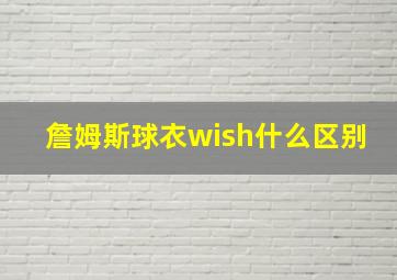 詹姆斯球衣wish什么区别