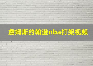 詹姆斯约翰逊nba打架视频