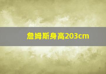 詹姆斯身高203cm