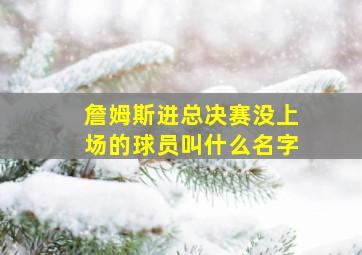 詹姆斯进总决赛没上场的球员叫什么名字