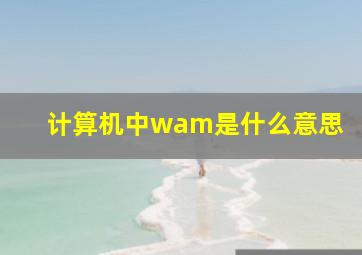 计算机中wam是什么意思